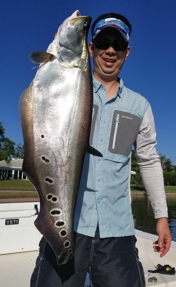 Where To Catch Clown Knife Fish In Florida Fishing Form