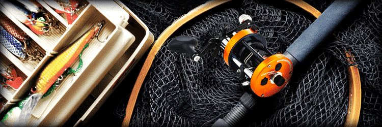 Best Cat Fishing Gear List