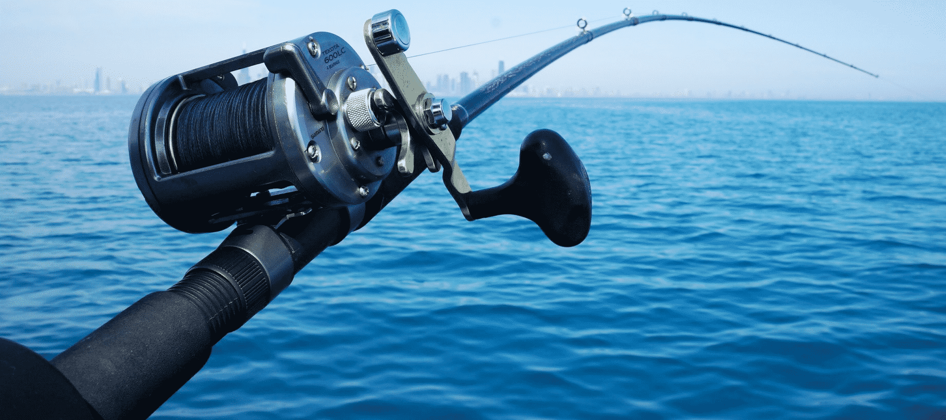 10 Best Surf Fishing Rods Reviews 2021with Buying Guide