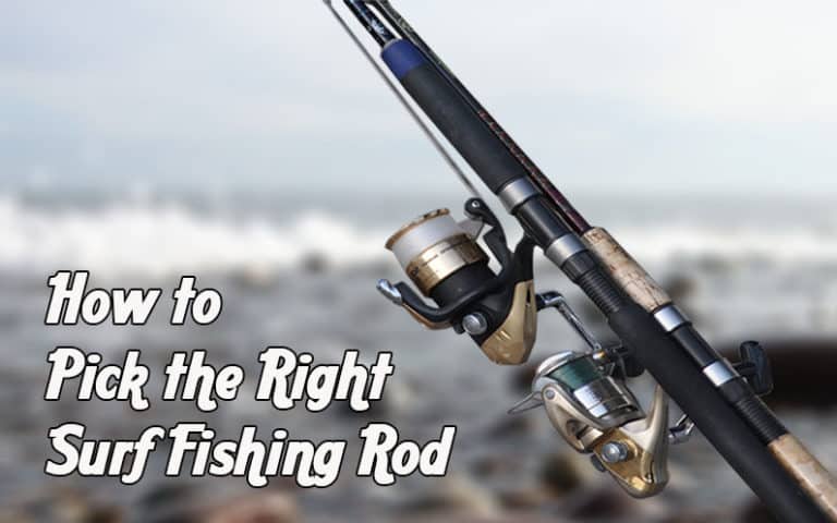 How to Pick the Right Surf Fishing Rod for You – A Must Read Guide ...