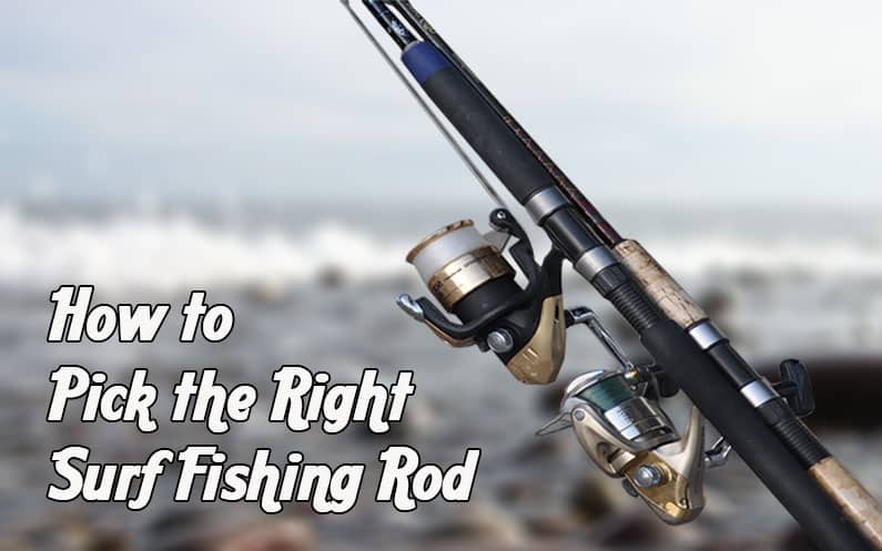 surf fishing rod