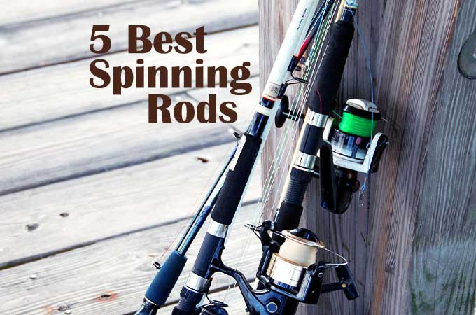 top 5 spinning rods