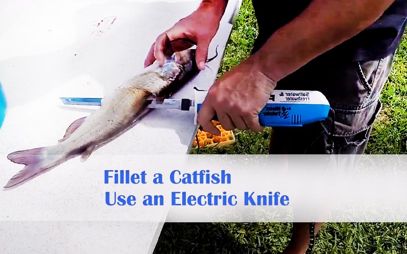 electric-knife-to-fillet-a-catfish