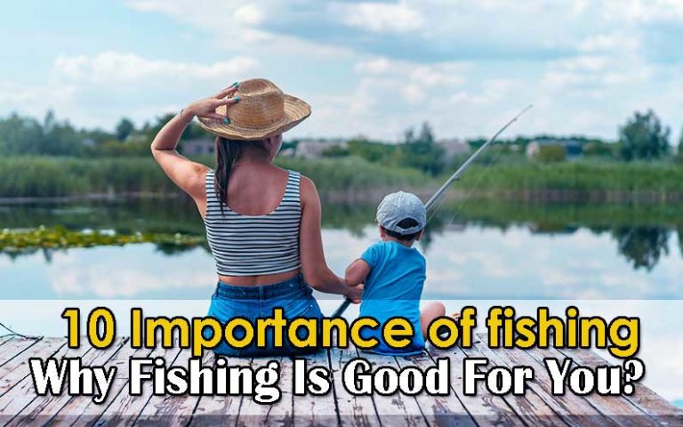 Top 10 Importance of fishing - Why Fishing Is Good For You? Fishing Form