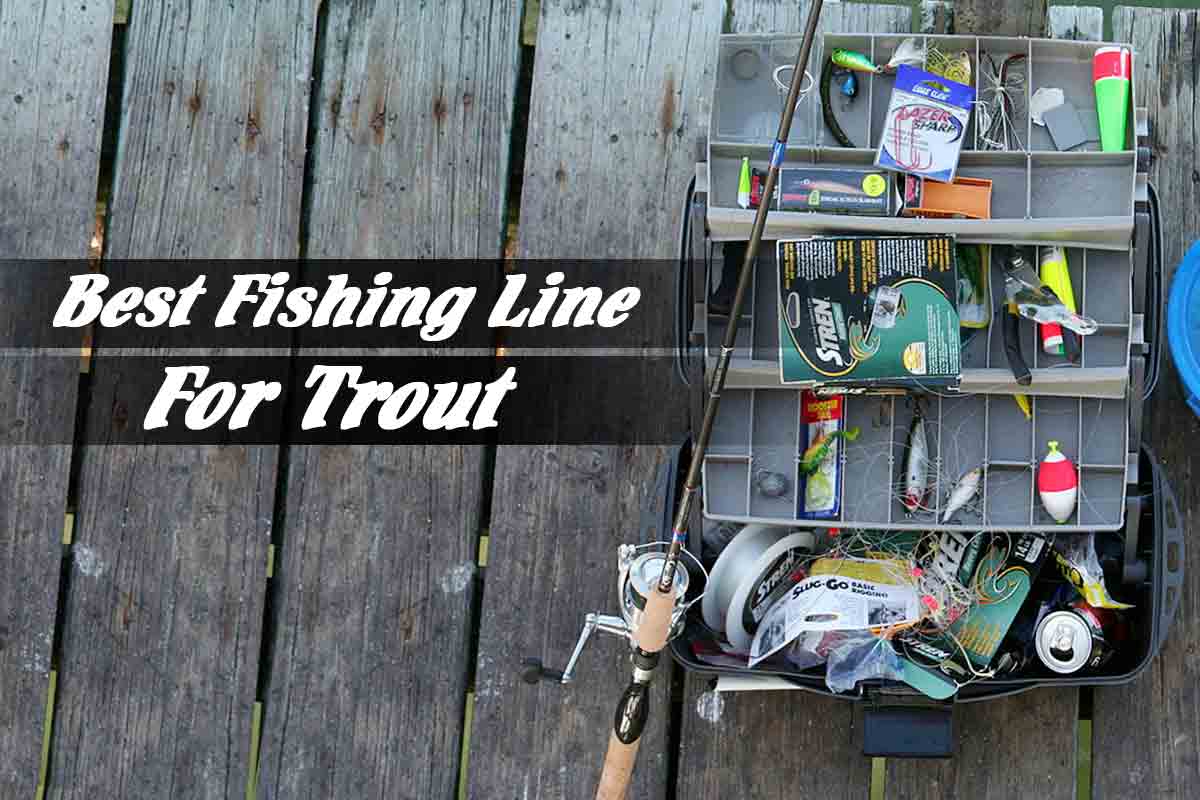 Get The Best Fishing Line For Trout – Become A Professional Angler - Fishing Form