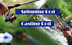 Spinning VS Casting Rod: Which one wins the debate? - Fishing Form