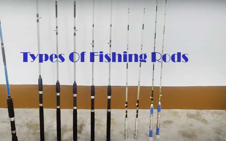 Different Types Of Fishing Rods Explained Fishing Form