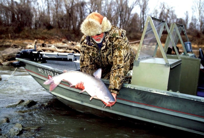 what-fish-bite-in-the-winter-fishing-form