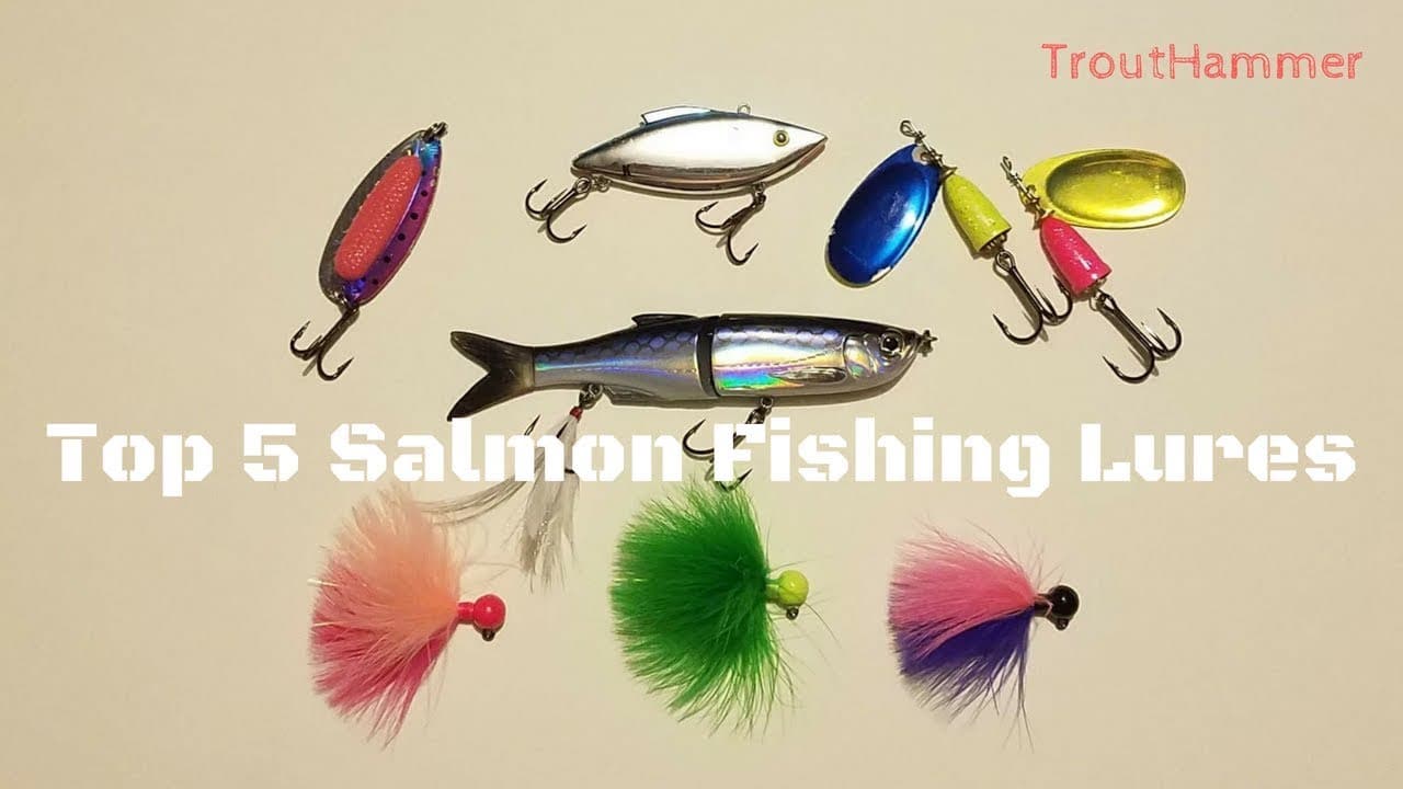 What are the Best Lures for Salmon Fishing Form