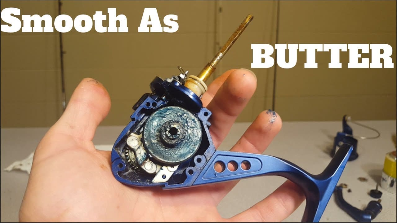 How to Lubricate a Fishing Reel Fishing Form