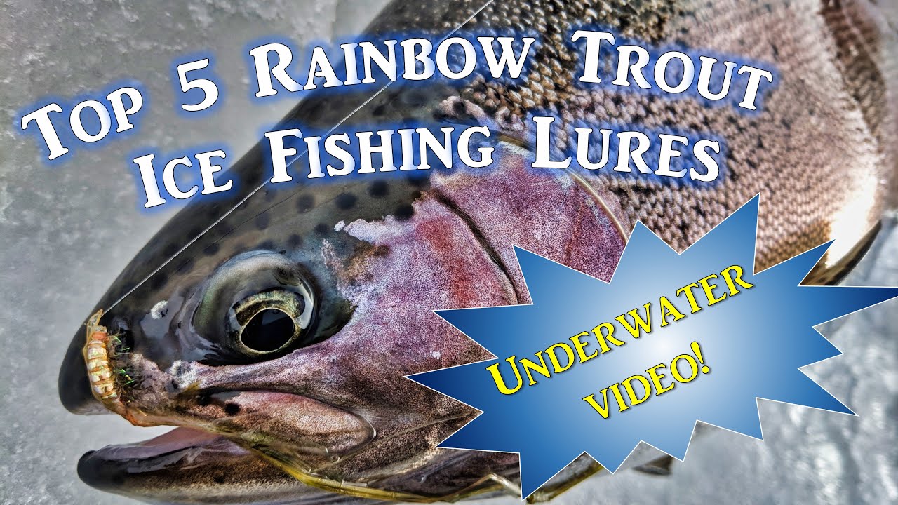 How to Ice Fish for Rainbow Trout Fishing Form