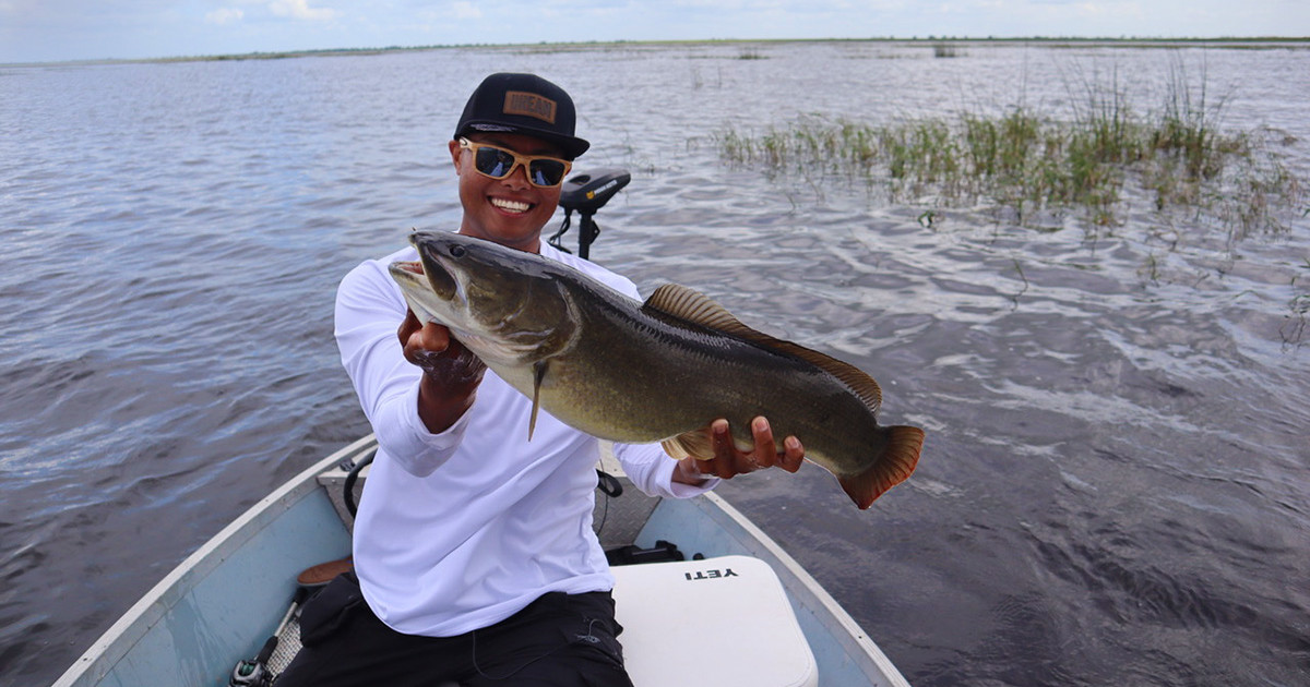 are-bowfin-fish-good-to-eat-fishing-form