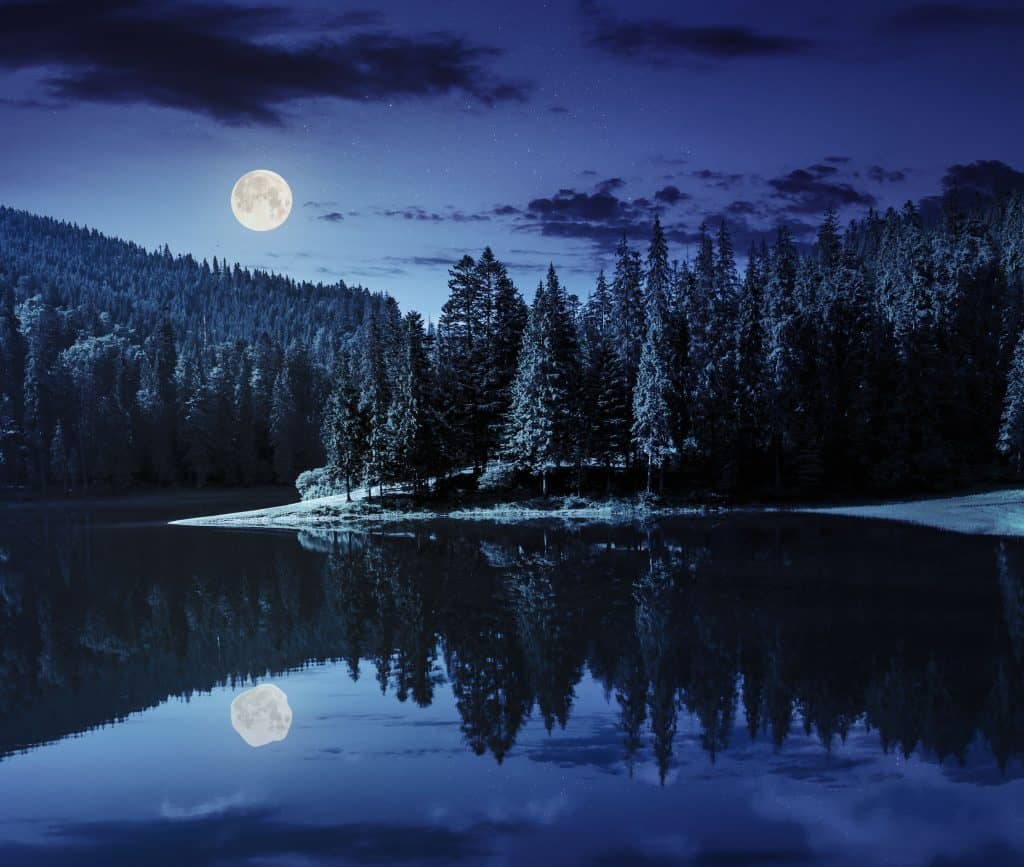 Is a Full Moon Good for Fishing? - Fishing Form