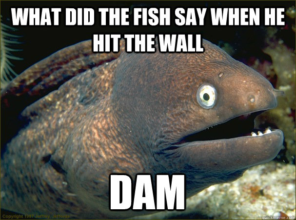 what-did-the-fish-say-when-it-hit-the-wall-fishing-form