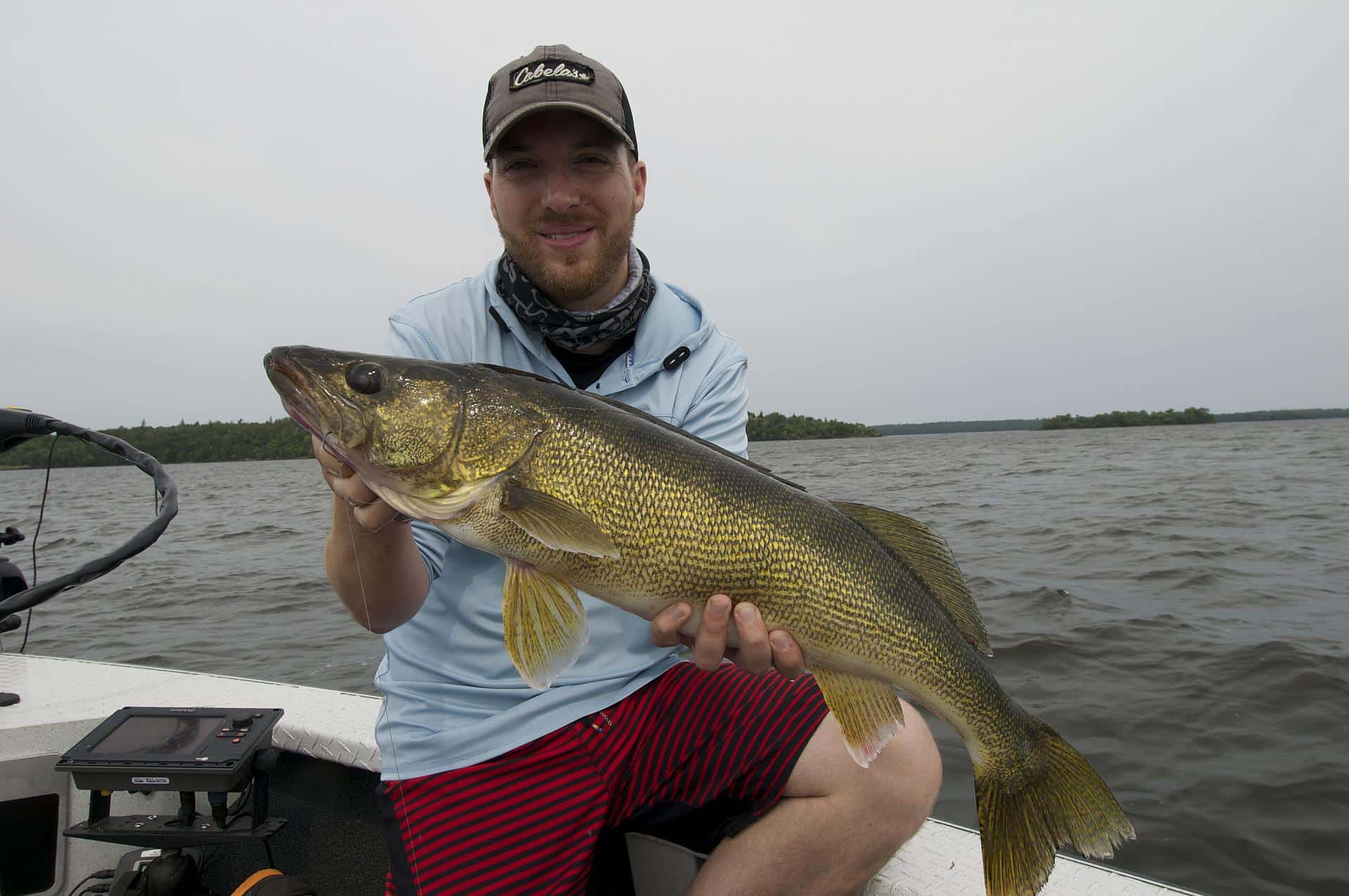 How to Tie a Drop Shot Rig for Walleye - Fishing Form