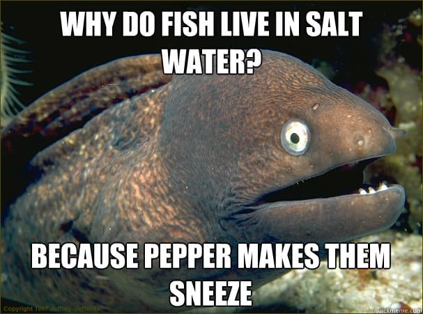 Why Do Fish Live In Saltwater Joke